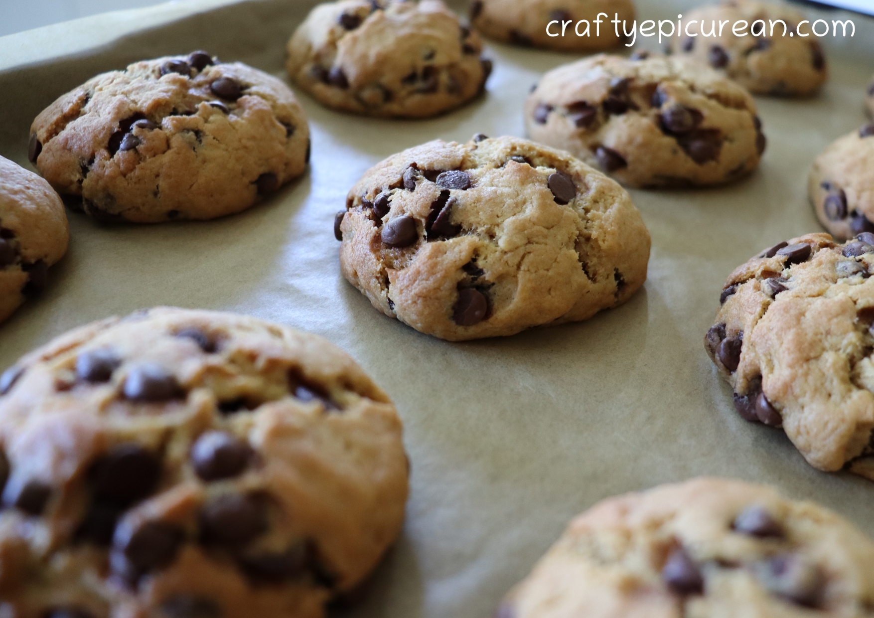 Sourdough Chocolate Chip Cookies – Crafty Epicurean